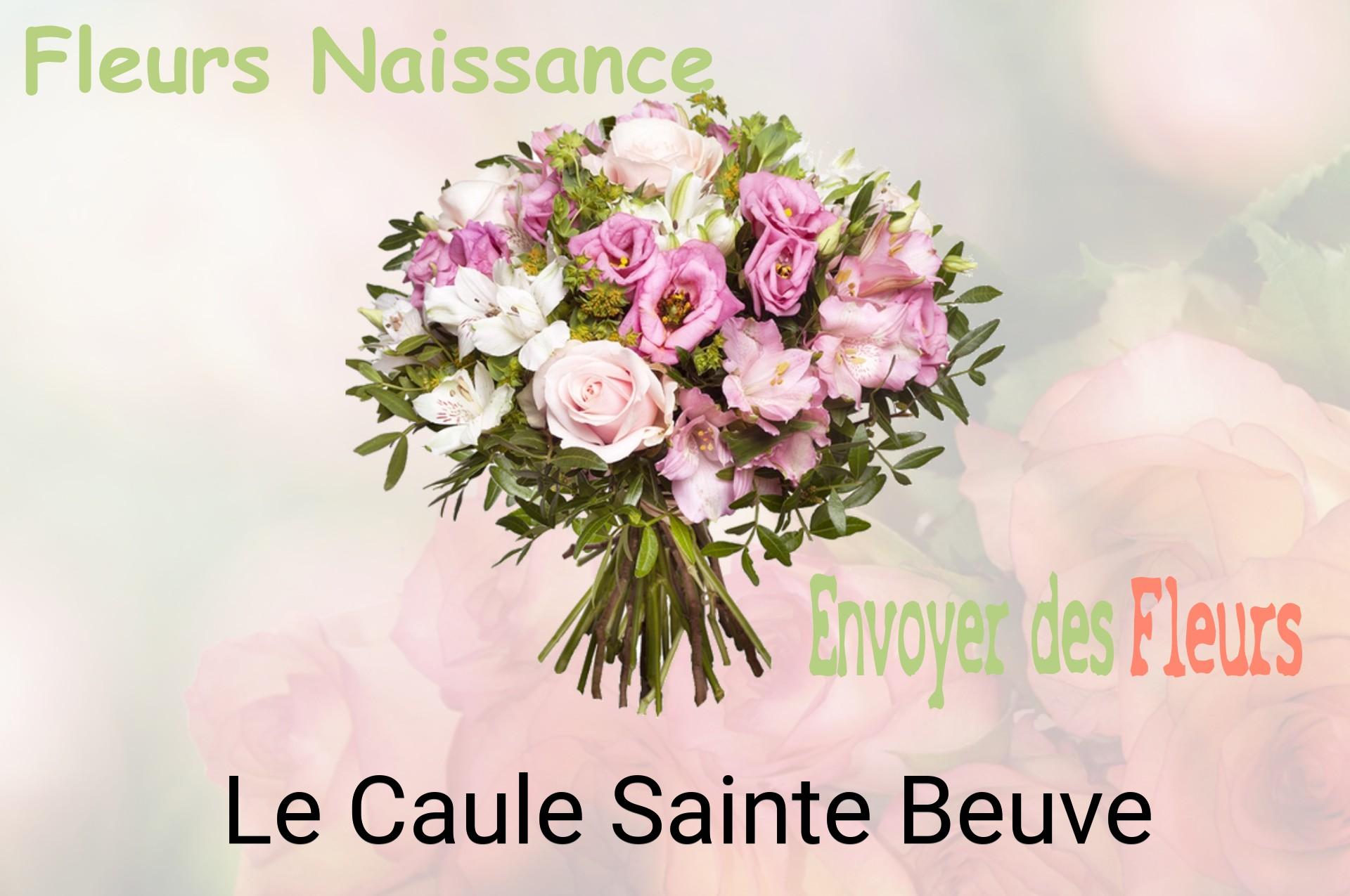 Bouquet de fleurs de naissance livré à Le Caule-Sainte-Beuve